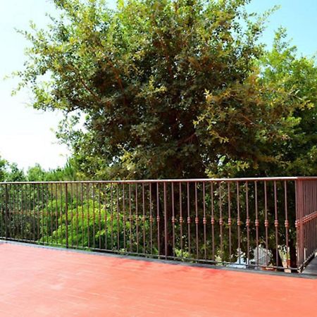 B&B Le Tre Rose Di Maria Pedara Exteriör bild