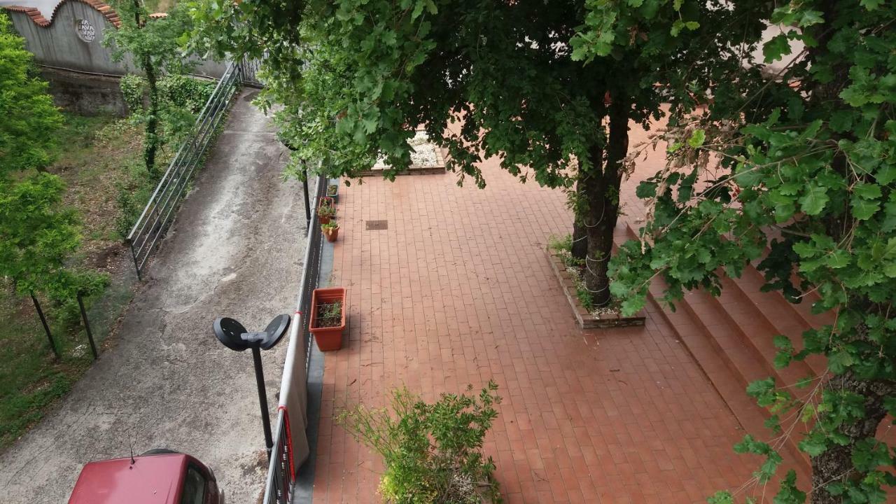 B&B Le Tre Rose Di Maria Pedara Exteriör bild