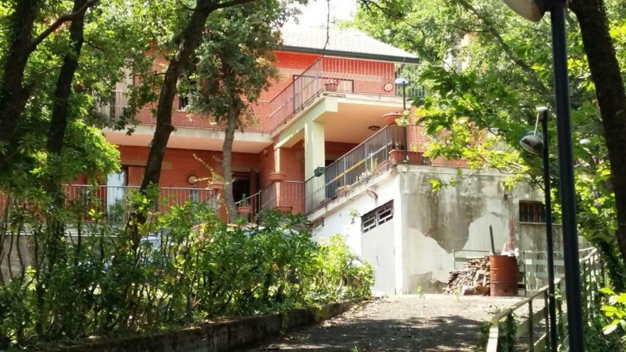 B&B Le Tre Rose Di Maria Pedara Exteriör bild