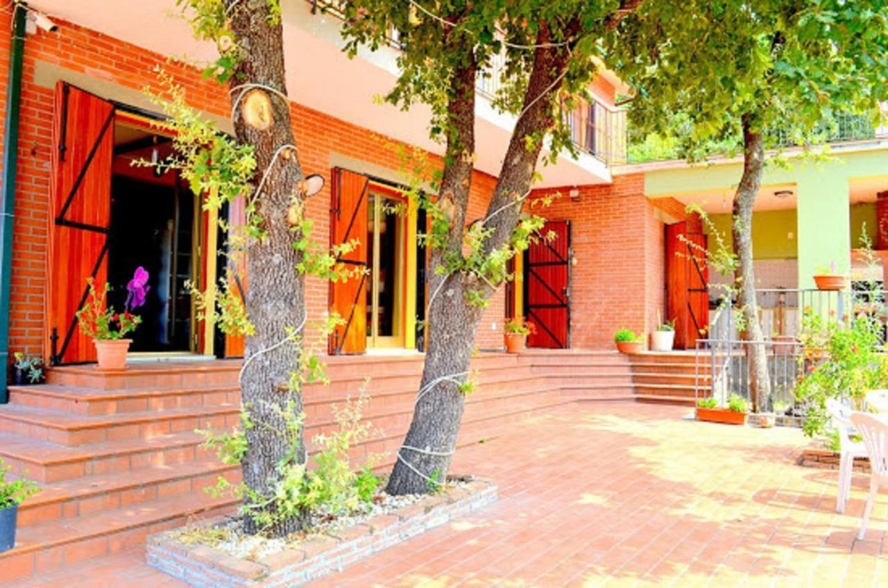 B&B Le Tre Rose Di Maria Pedara Exteriör bild